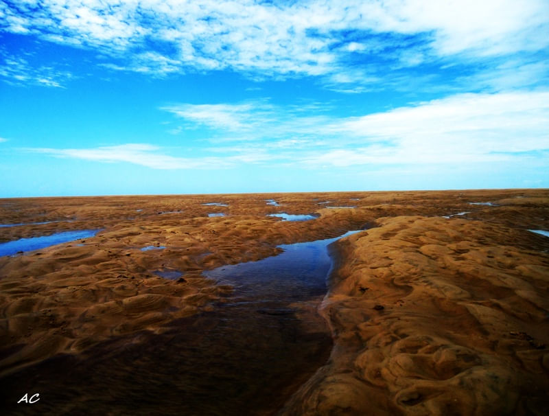 ÁGUA NO DESERTO