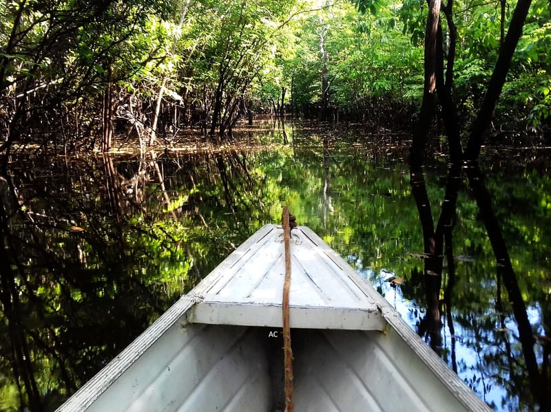 ABRINDO CAMINHO NA FLORESTA ALAGADA