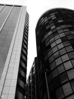 O CONTRASTE XII