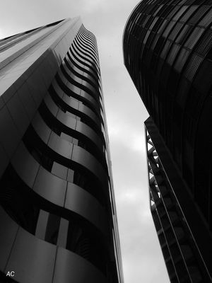 O CONTRASTE XV