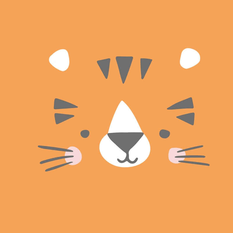 PETZ XI