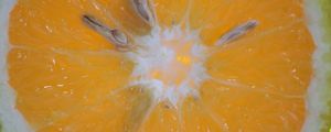 LARANJA-3 LB