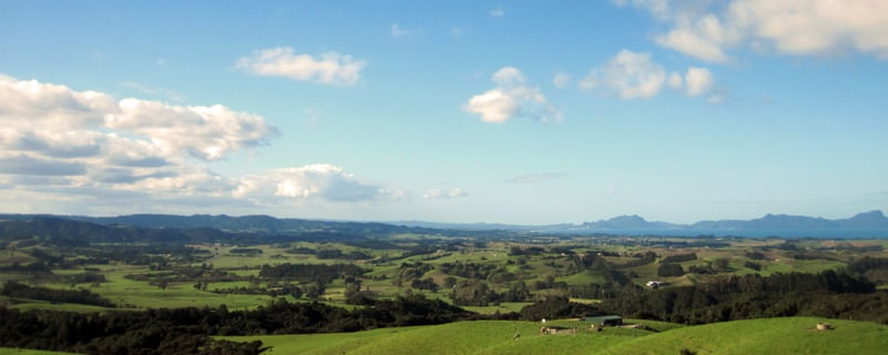 CAMPO E VERDE
