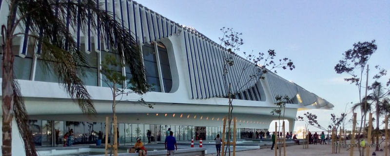 TARDE COM ARTE DE MUSEU