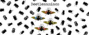 BEETLEMANIACS