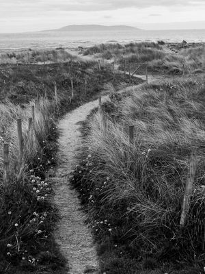 CAMINHO PARA O MAR EM MALAHIDE IRLANDA