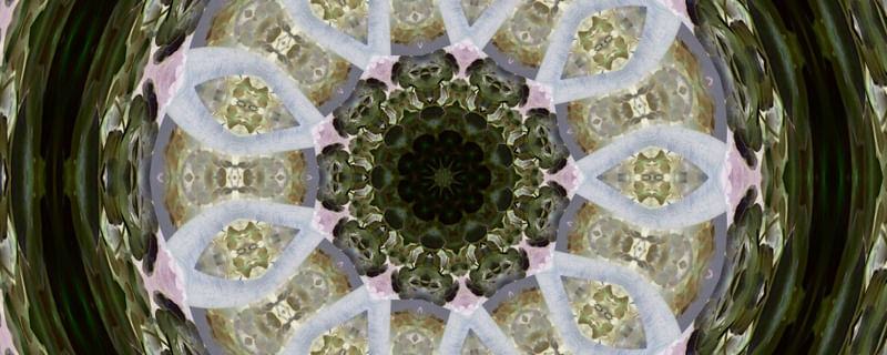 MANDALA 9