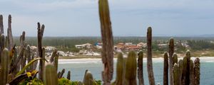 CACTOS NA PRAIA