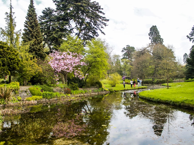 JARDIM BOTÂNICO EM DUBLIN 3