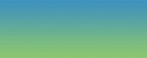 COPA 02