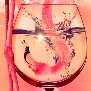 FLAMINGO DRINKING
