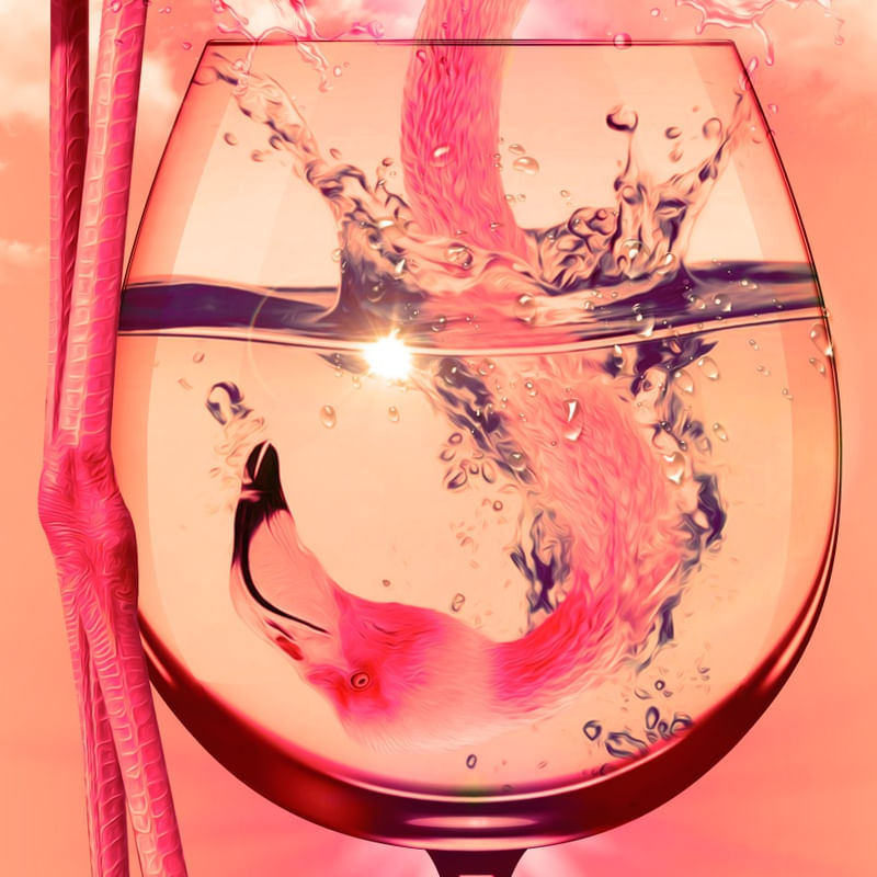 FLAMINGO DRINKING