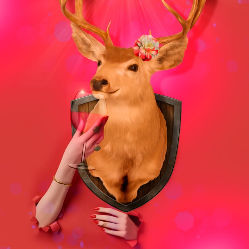 DEER DRINKING
