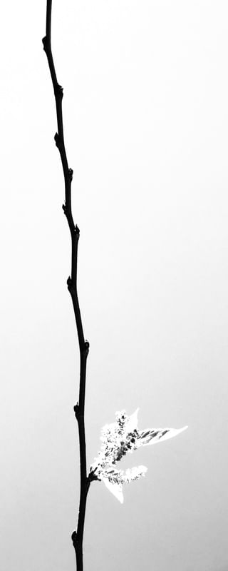 NA VERTICAL 01