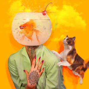 AQUARIUM HEAD