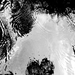 REFLEX B&W