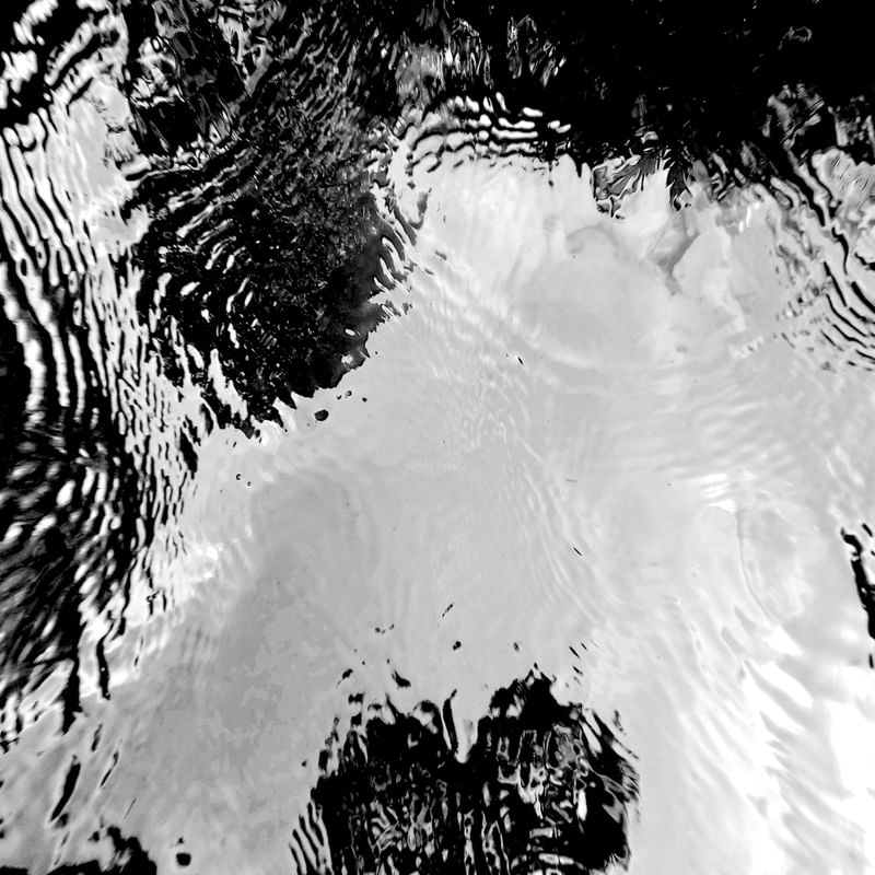 REFLEX B&W