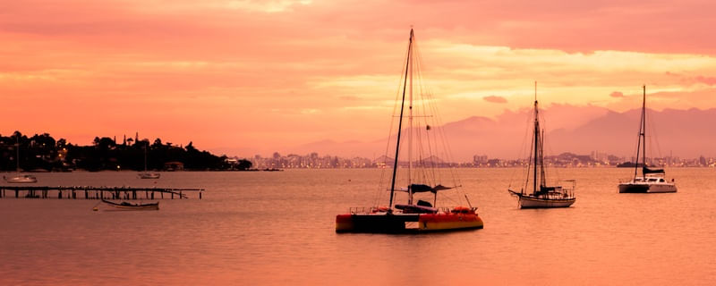 GOLDEN PARADISE