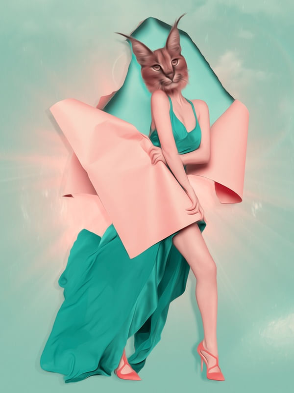 WILD FASHION