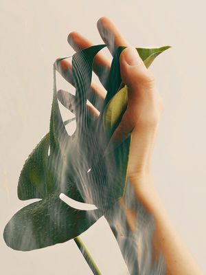 IN TOUCH