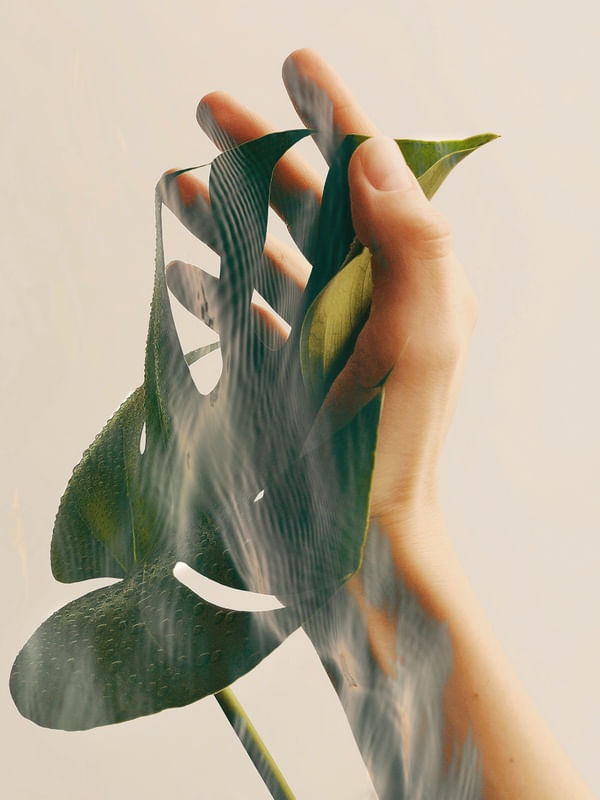 IN TOUCH