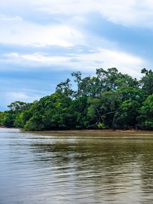 REGIÃO AMAZÔNICA - DÍPTICO ESQUERDA