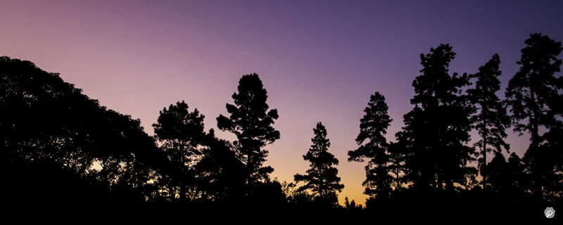PURPLESKY