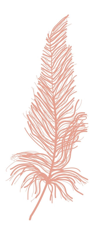 PINK FEATHER