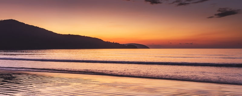 LA PLAGE JAUNE