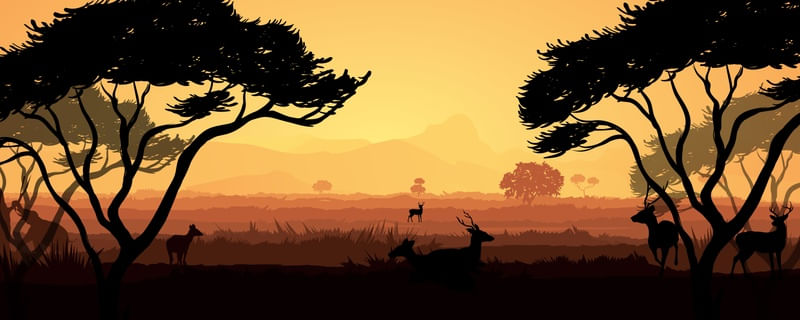 PAISAGEM LARANJA COM SILHUETA DE ARVORES