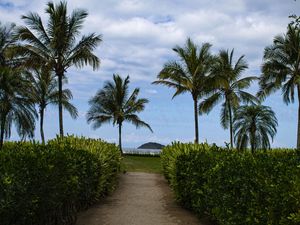 CAMINHO DE IDA A PRAIA