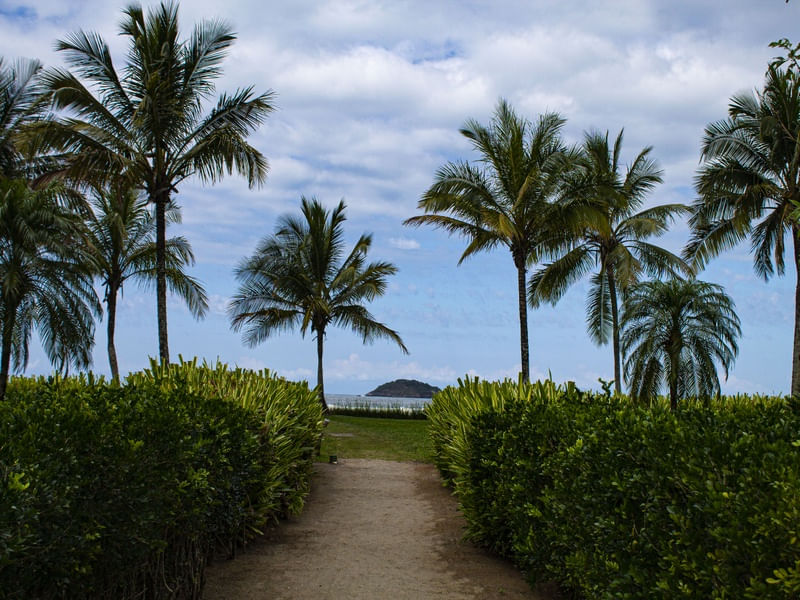 CAMINHO DE IDA A PRAIA