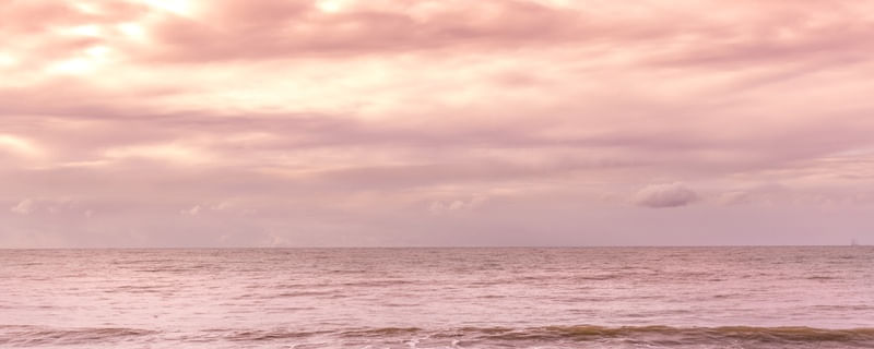 HORIZONTE MAGENTA