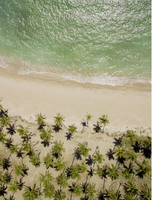 LINHAS DE PRAIA NORDESTE