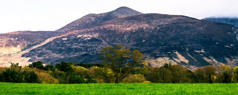 PELOS CAMPOS DA IRLANDA...