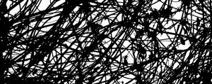 CIPÓ ABSTRATO