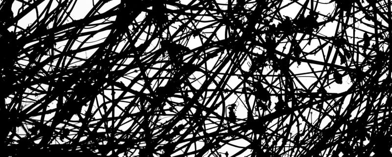 CIPÓ ABSTRATO