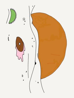 DIAPEDESE