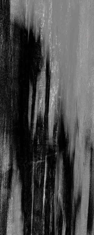 ABSTRATO PRETO E BRANCO 01 PANORÂMICO ARTISTA GLORIA RIMES