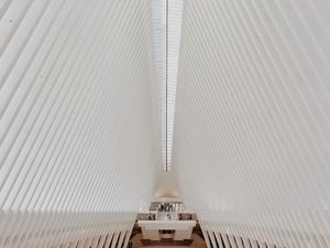CALATRAVA AND LIGHT
