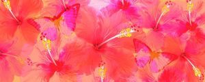 FLORES HARMONIA ROSA