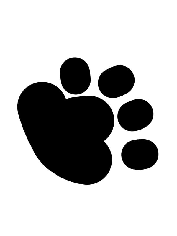 PATA DE CACHORRO
