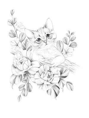 GATINHO FLORIDO