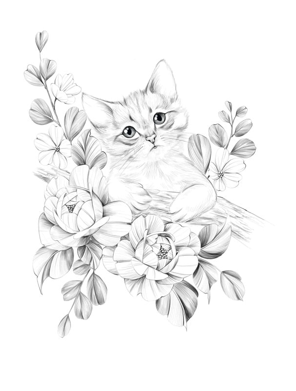 GATINHO FLORIDO