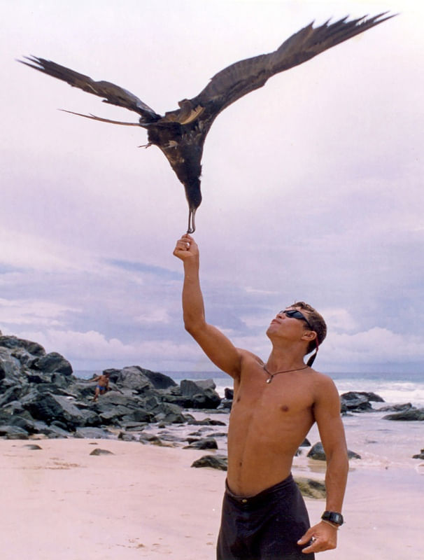 O GAROTO E A GAIVOTA