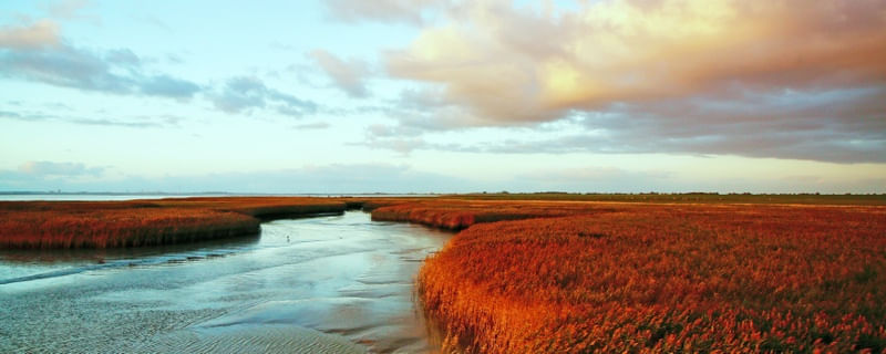 PAISAGEM DO ESTUÁRIO LITORAL NO MAR DO NORTE