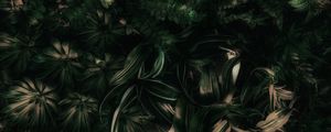 FOLHAS TROPICAIS VERDES XVIII