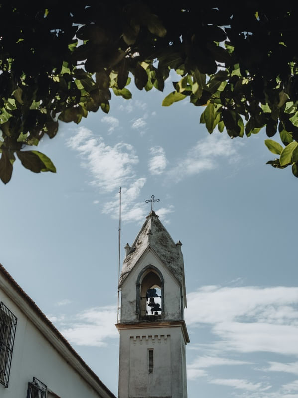 AS LINHAS DA CATEDRAL