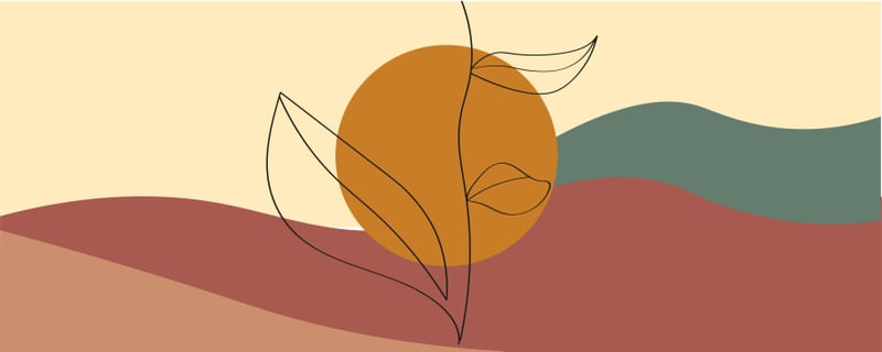 PLANTA E SOL