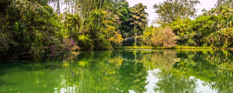 PARQUE VERDE